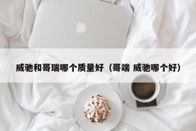 威驰和哥瑞哪个质量好（哥端 威驰哪个好）