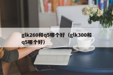 glk260和q5哪个好（glk300和q5哪个好）