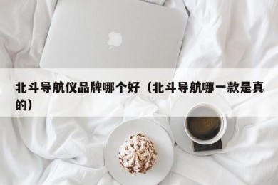 北斗导航仪品牌哪个好（北斗导航哪一款是真的）