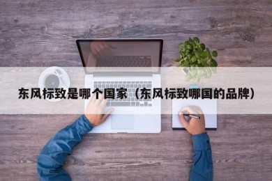 东风标致是哪个国家（东风标致哪国的品牌）