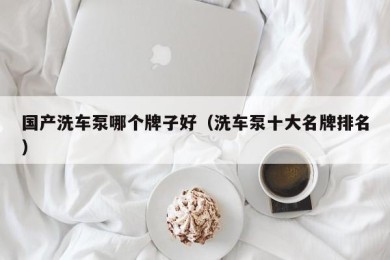 国产洗车泵哪个牌子好（洗车泵十大名牌排名）