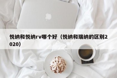 悦纳和悦纳rv哪个好（悦纳和瑞纳的区别2020）