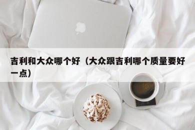 吉利和大众哪个好（大众跟吉利哪个质量要好一点）
