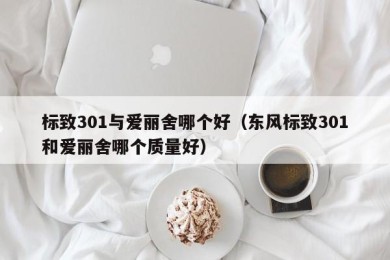 标致301与爱丽舍哪个好（东风标致301和爱丽舍哪个质量好）