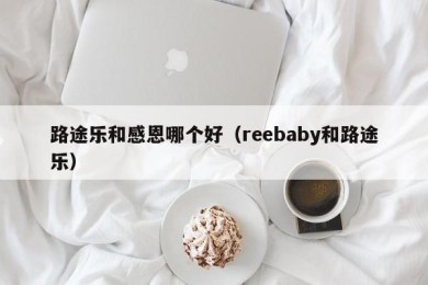路途乐和感恩哪个好（reebaby和路途乐）