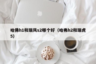 哈佛h1和瑞风s2哪个好（哈弗h2和瑞虎5）