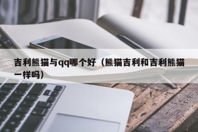 吉利熊猫与qq哪个好（熊猫吉利和吉利熊猫一样吗）