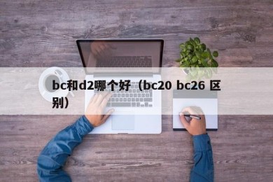 bc和d2哪个好（bc20 bc26 区别）