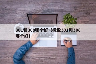 301和308哪个好（标致301和308哪个好）