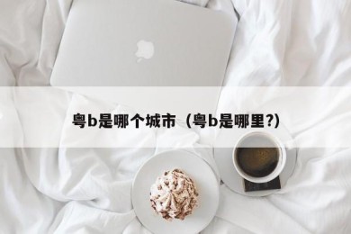 粤b是哪个城市（粤b是哪里?）