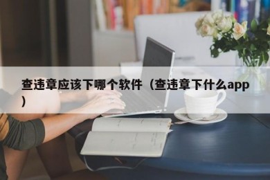 查违章应该下哪个软件（查违章下什么app）