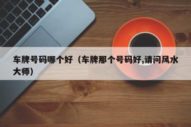 车牌号码哪个好（车牌那个号码好,请问风水大师）