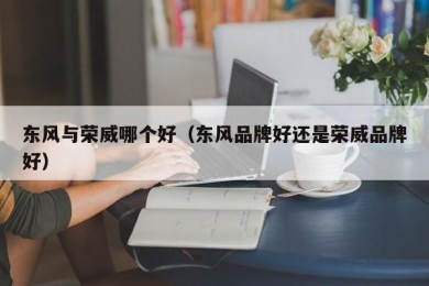 东风与荣威哪个好（东风品牌好还是荣威品牌好）