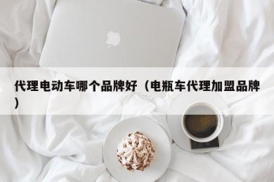 代理电动车哪个品牌好（电瓶车代理加盟品牌）