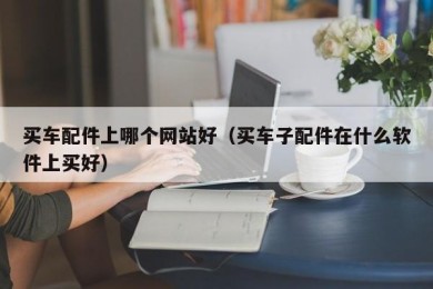 买车配件上哪个网站好（买车子配件在什么软件上买好）