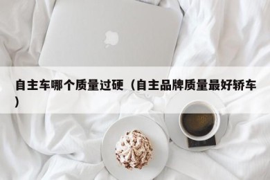 自主车哪个质量过硬（自主品牌质量最好轿车）