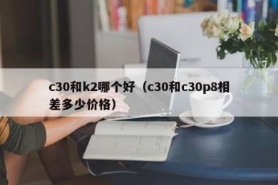 c30和k2哪个好（c30和c30p8相差多少价格）