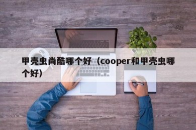 甲壳虫尚酷哪个好（cooper和甲壳虫哪个好）