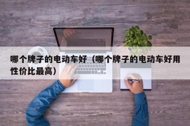 哪个牌子的电动车好（哪个牌子的电动车好用性价比最高）