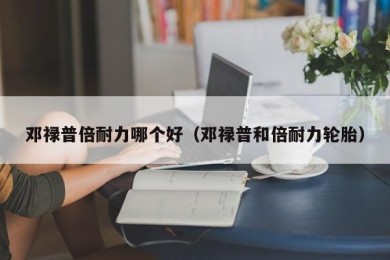 邓禄普倍耐力哪个好（邓禄普和倍耐力轮胎）