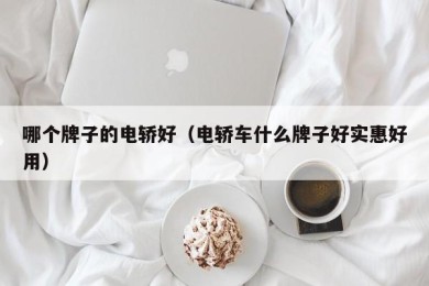 哪个牌子的电轿好（电轿车什么牌子好实惠好用）