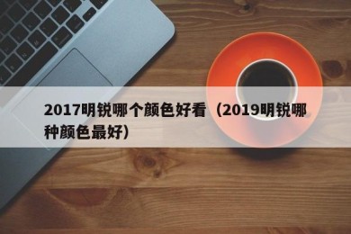 2017明锐哪个颜色好看（2019明锐哪种颜色最好）