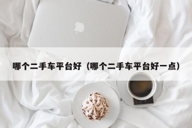 哪个二手车平台好（哪个二手车平台好一点）