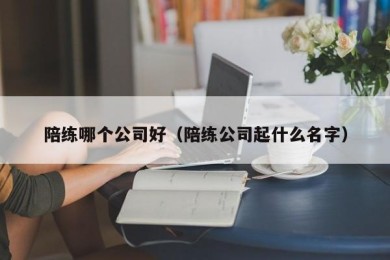 陪练哪个公司好（陪练公司起什么名字）