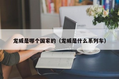 龙威是哪个国家的（龙威是什么系列车）