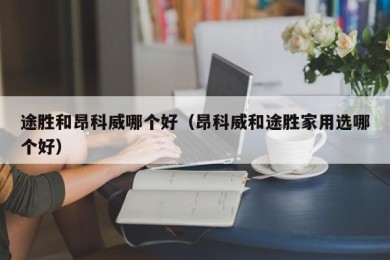 途胜和昂科威哪个好（昂科威和途胜家用选哪个好）