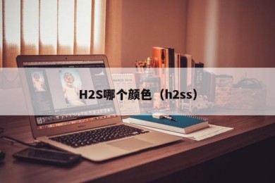 H2S哪个颜色（h2ss）
