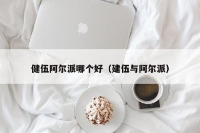 健伍阿尔派哪个好（建伍与阿尔派）