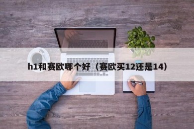 h1和赛欧哪个好（赛欧买12还是14）