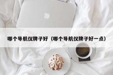 哪个导航仪牌子好（哪个导航仪牌子好一点）