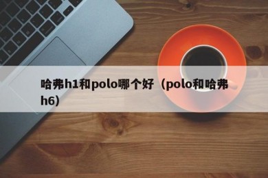 哈弗h1和polo哪个好（polo和哈弗h6）