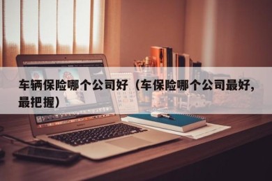 车辆保险哪个公司好（车保险哪个公司最好,最把握）