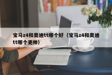 宝马z4和奥迪tt哪个好（宝马z4和奥迪tt哪个更帅）