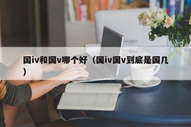 国iv和国v哪个好（国iv国v到底是国几）