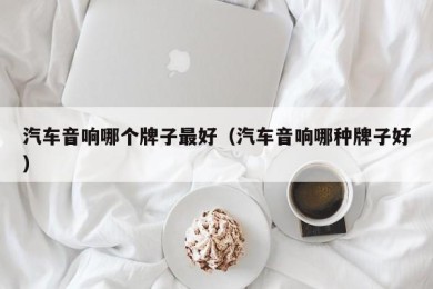 汽车音响哪个牌子最好（汽车音响哪种牌子好）