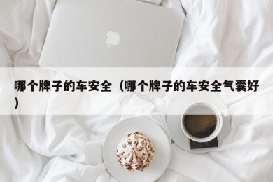 哪个牌子的车安全（哪个牌子的车安全气囊好）