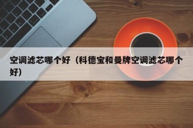 空调滤芯哪个好（科德宝和曼牌空调滤芯哪个好）