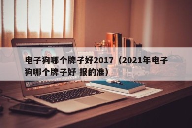 电子狗哪个牌子好2017（2021年电子狗哪个牌子好 报的准）