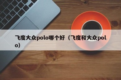 飞度大众polo哪个好（飞度和大众polo）