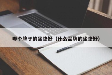 哪个牌子的坐垫好（什么品牌的坐垫好）