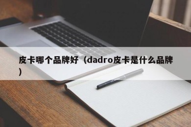 皮卡哪个品牌好（dadro皮卡是什么品牌）