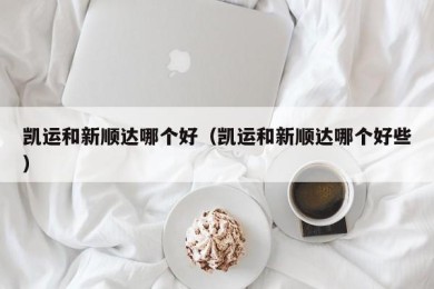 凯运和新顺达哪个好（凯运和新顺达哪个好些）