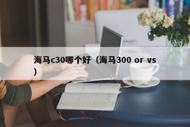 海马c30哪个好（海马300 or vs）