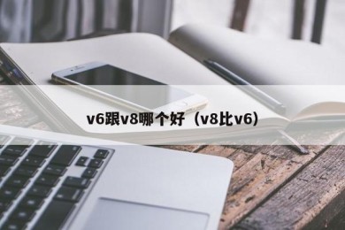 v6跟v8哪个好（v8比v6）