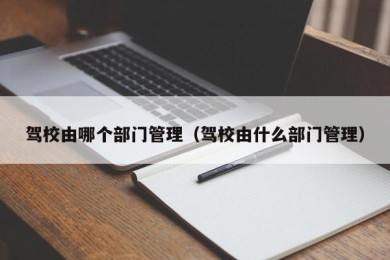 驾校由哪个部门管理（驾校由什么部门管理）