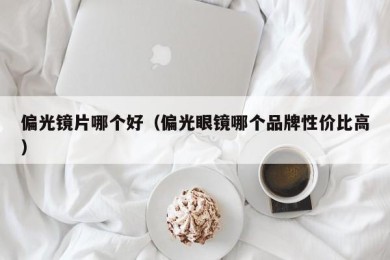 偏光镜片哪个好（偏光眼镜哪个品牌性价比高）